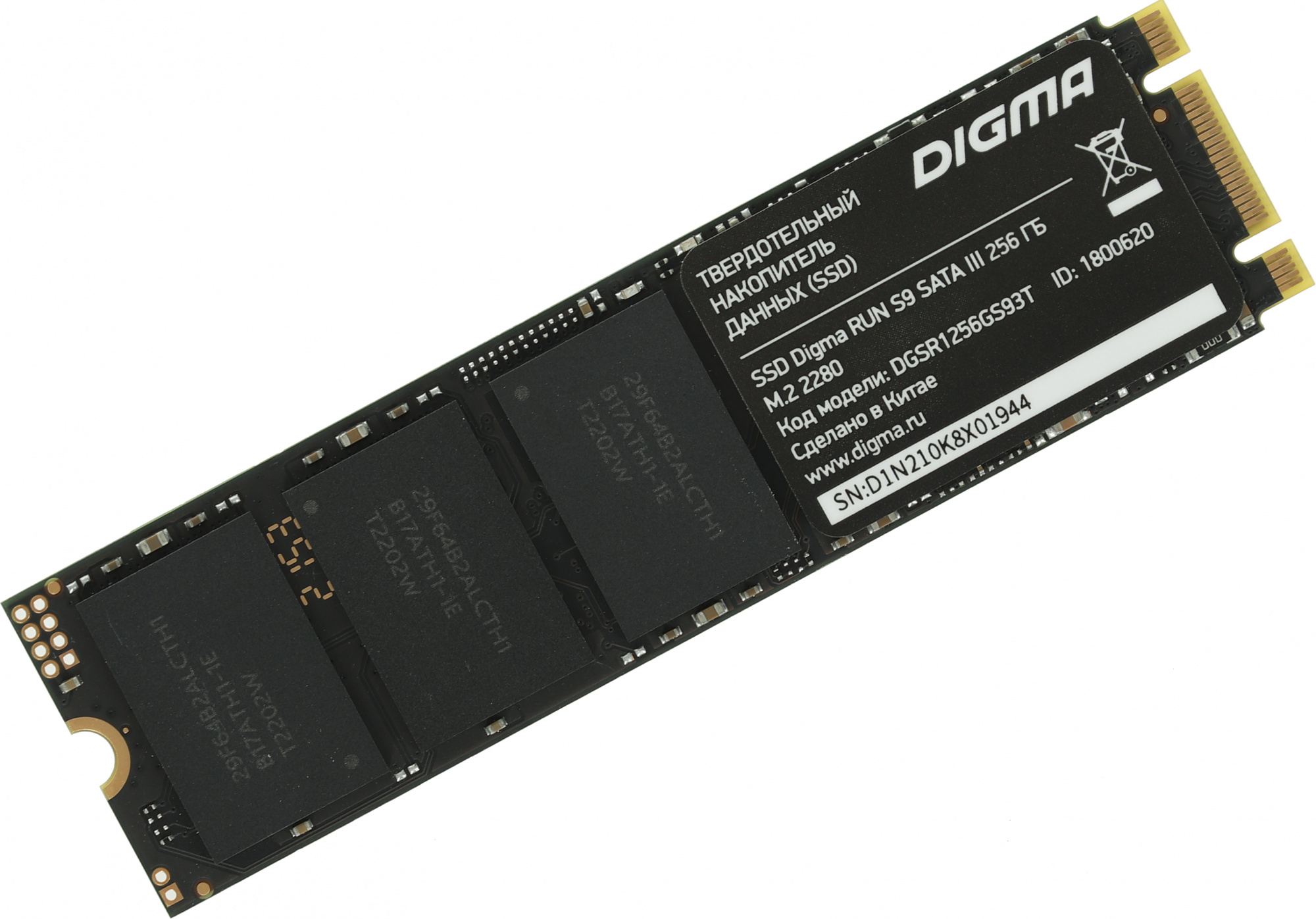 SSD ���������� Digma Run S9 DGSR1256GS93T 256��, M.2 2280, SATA III,  SATA,  rtl [DGSR1256GS93T]