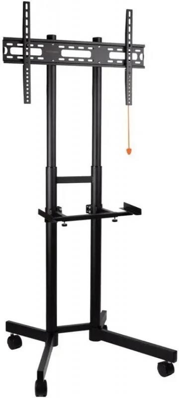 ��������� ��� ���������� Arm Media PT-STAND-7 ������ 32-80 �� 50��