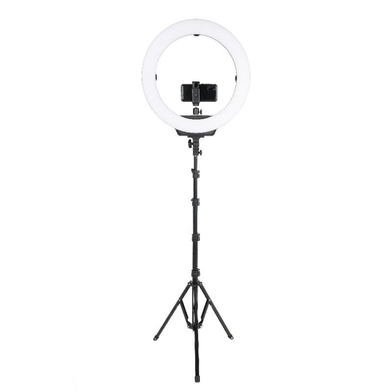   Falcon Eyes BeautyLight 480LS LED  