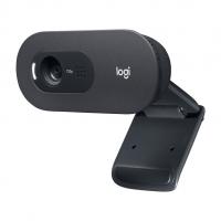 Web-������ Logitech C505e,  ������ [960-001373]