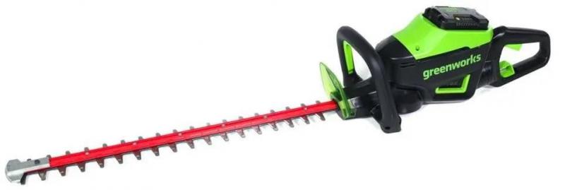  GREENWORKS GD60HT66,  ,   [2206507]