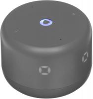 ����� ������� Yandex ������� ���� 2 �����.�.:����� ���������� 6W 1.0 BT/Wi-Fi 10� (YNDX-00026GRY)